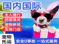 黄花空运地址国际宠物托运 【国